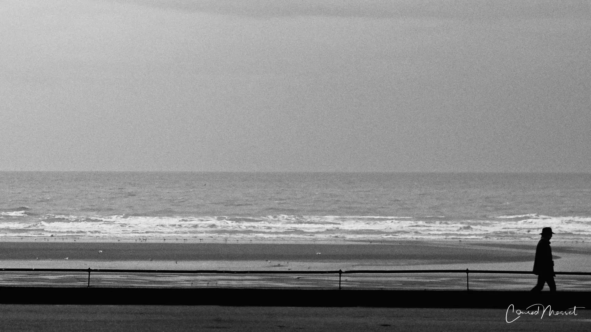 Photo de la semaine